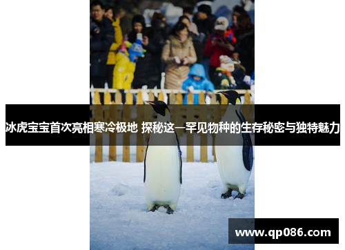 冰虎宝宝首次亮相寒冷极地 探秘这一罕见物种的生存秘密与独特魅力