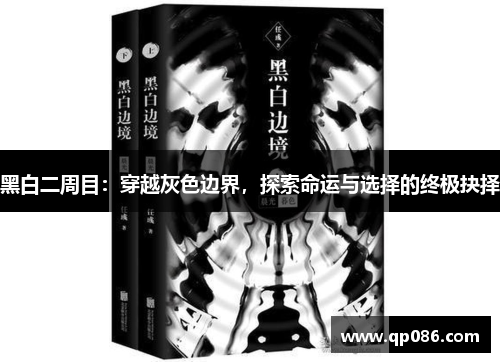 黑白二周目：穿越灰色边界，探索命运与选择的终极抉择